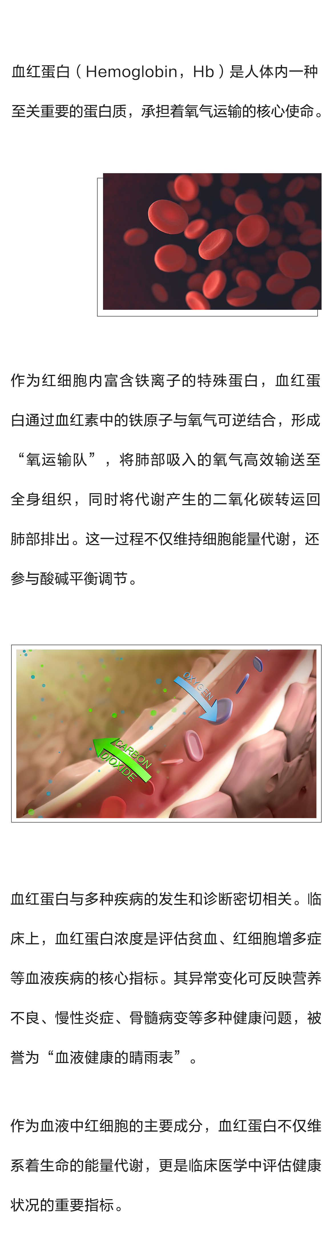 HB透射法上市_01.png