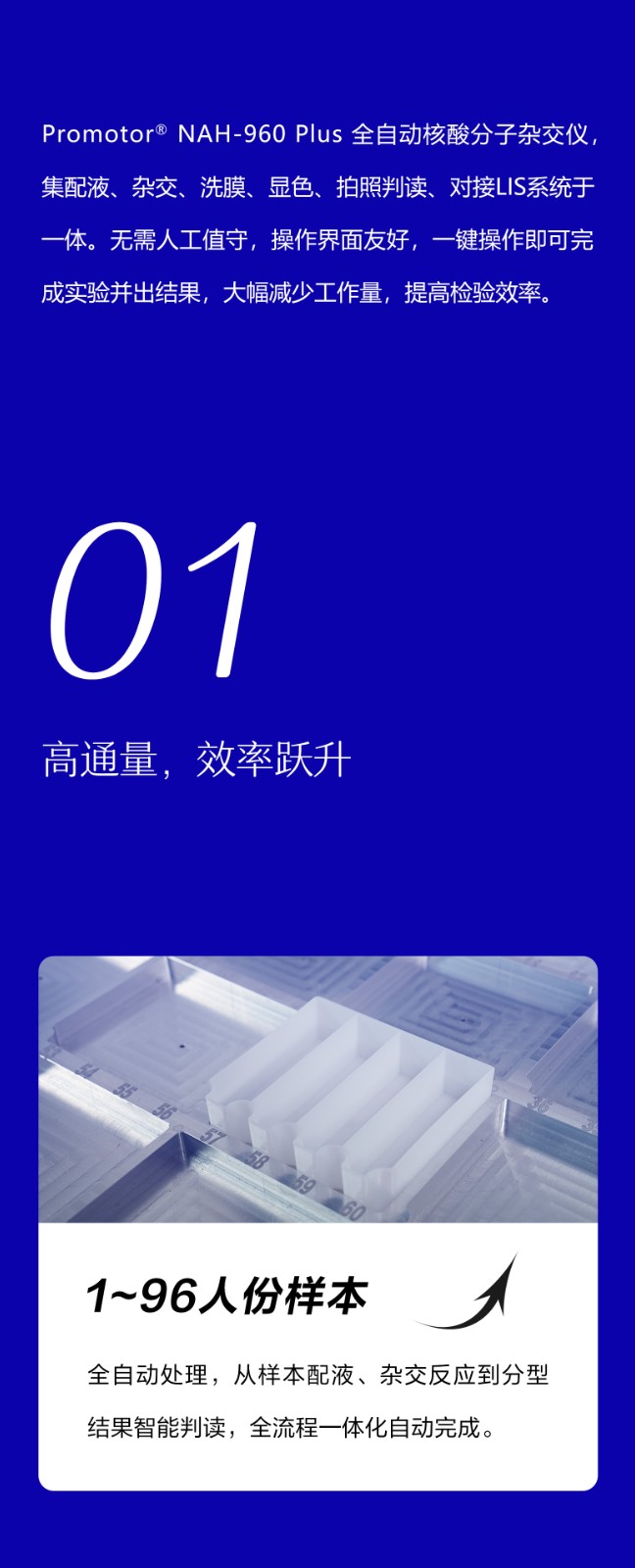 全自動(dòng)核酸分子雜交儀960_02.jpg 全自動(dòng)核酸分子雜交儀960_02.jpg