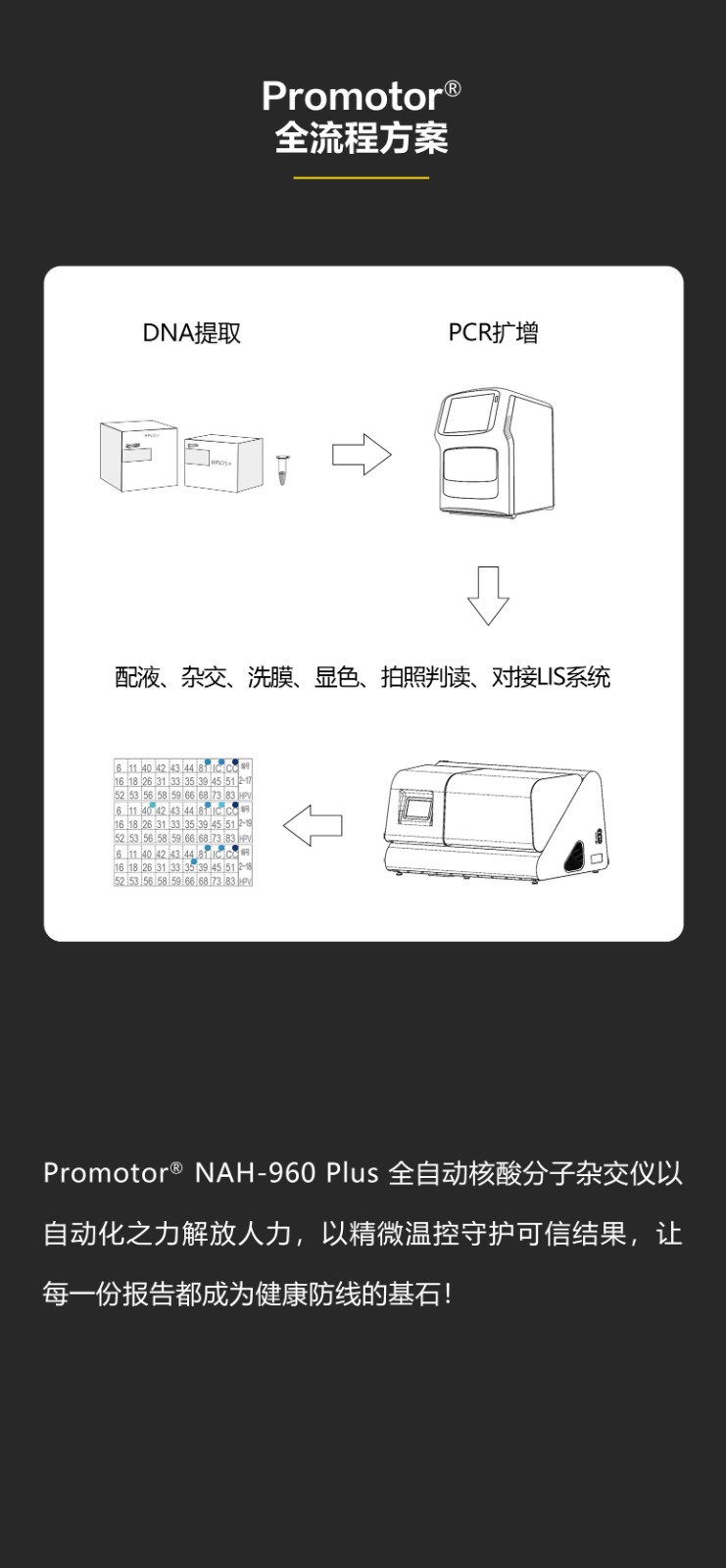 全自動(dòng)核酸分子雜交儀960_08.jpg 全自動(dòng)核酸分子雜交儀960_08.jpg
